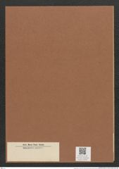Rhabdonema sp. (de-Toni-Nr.: Genus 95) Zeichnungen Sammlung Grunow Mappe 03302 (Herbarium_W_Grunow_drawings_Folder_03302)